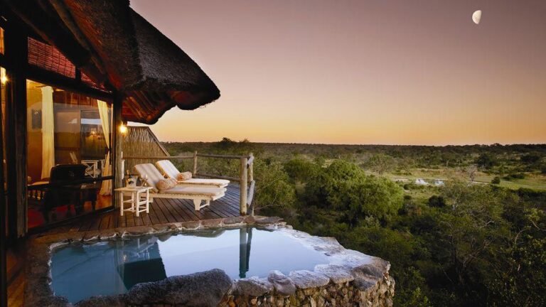 Discover the Magic of Hotel Safaris in South Africa